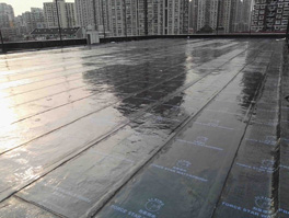 屋面漏水常見問(wèn)題防水維修方法