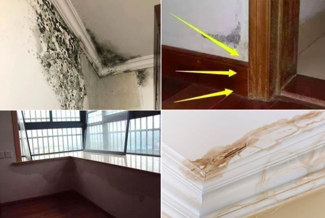 下載.jpg 下載.jpg