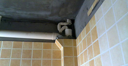 樓上廁所的排水管道和衛(wèi)生間漏水，應(yīng)該誰(shuí)負(fù)責(zé)？應(yīng)該怎么處理？